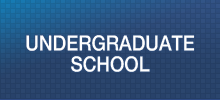 undergraduate school